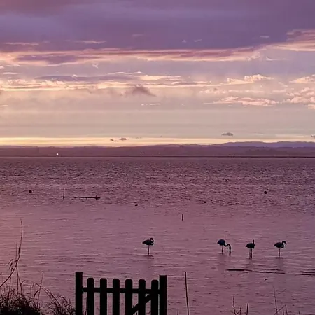 Au Bord De L'etang De Thau *